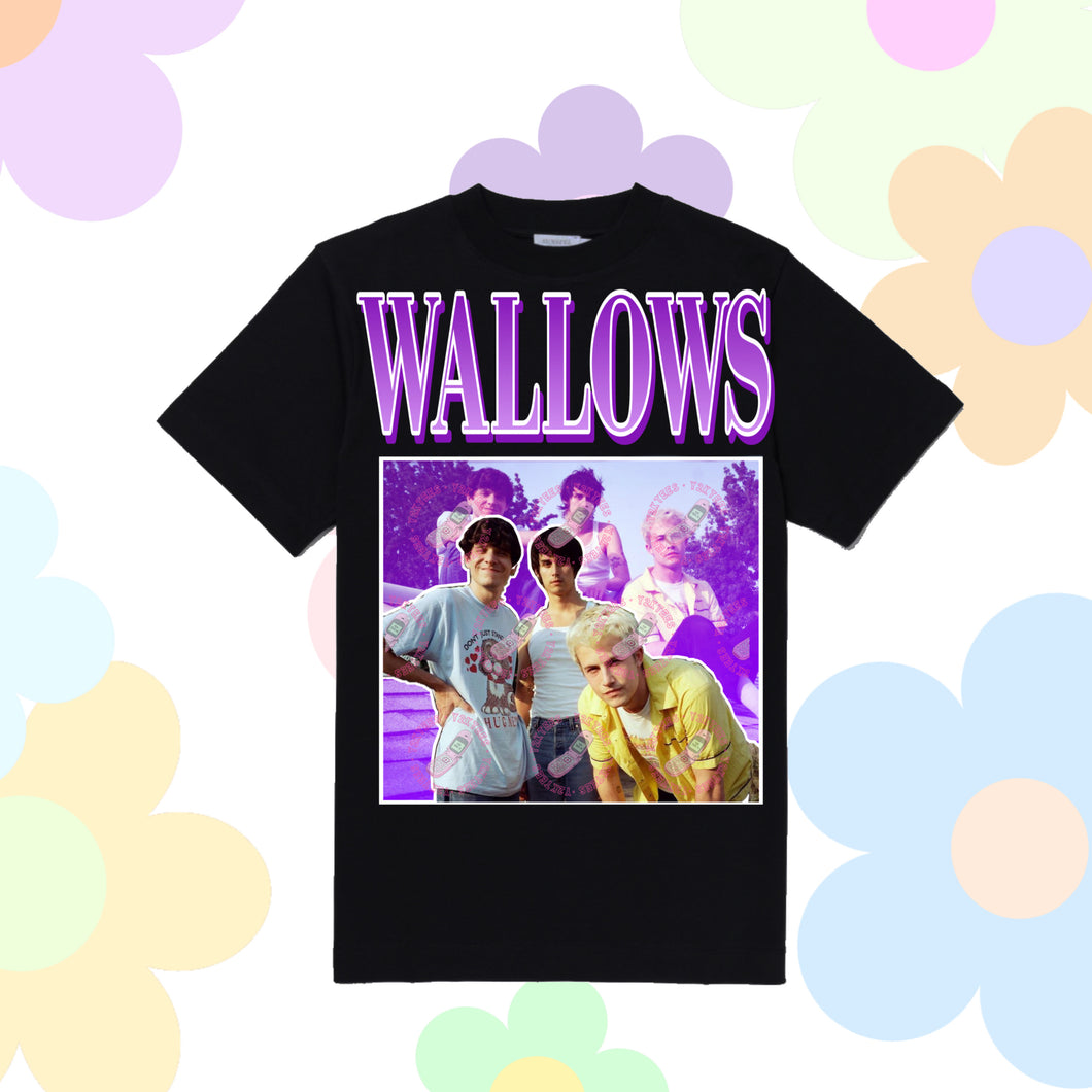 Wallows Y2K Graphic Tee